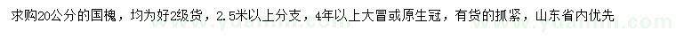 求購20公分國槐