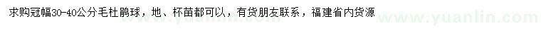 求購(gòu)冠幅30-40公分毛杜鵑球
