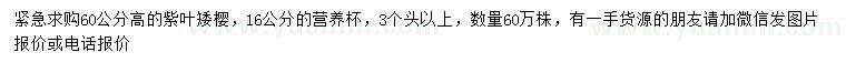 求購高60公分紫葉矮櫻