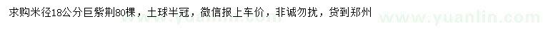 求購米徑18公分巨紫荊