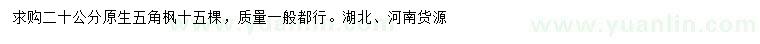 求購20公分原生五角楓