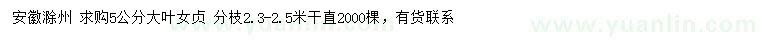 求購5公分大葉女貞