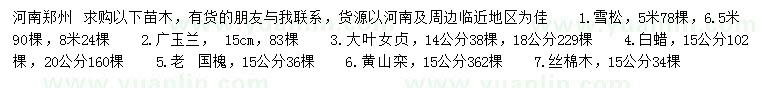 求購雪松、廣玉蘭、大葉女貞等