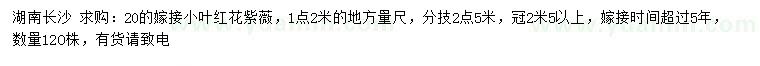 求購(gòu)1.2米量20公分嫁接小葉紅花紫薇