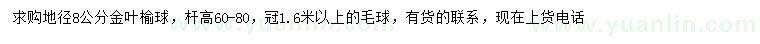 求購地徑8公分金葉榆球