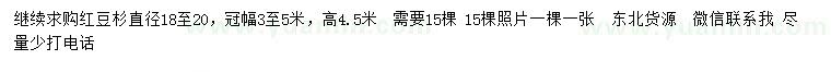 求購直徑18-20公分紅豆杉