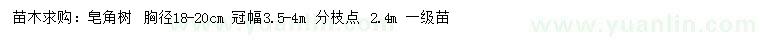 求購胸徑18-20公分皂角樹