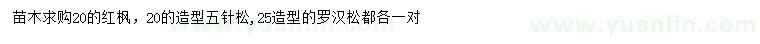 求購20公分紅楓、造型五針松