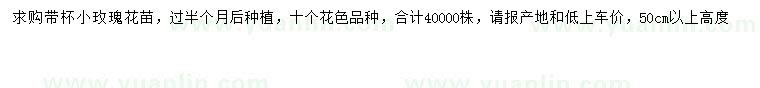 求購小玫瑰花苗