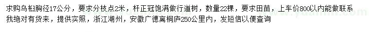 求購胸徑足17公分烏桕