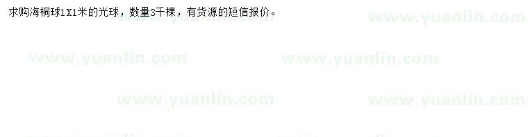 求購(gòu)1*1米海桐球