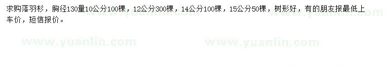 求購胸徑1.3米量10、12、14、15公分落羽杉