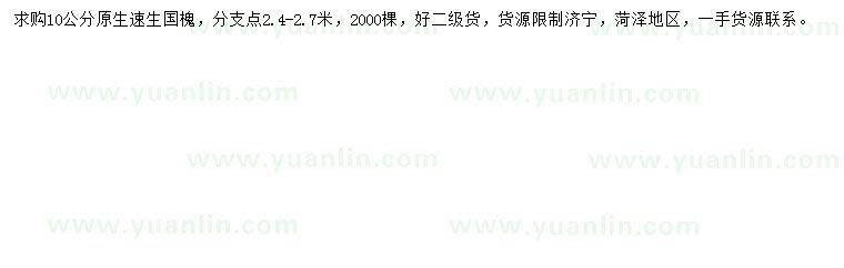 求購10公分速生國槐
