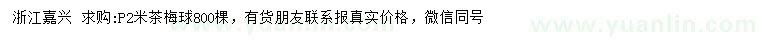 求購(gòu)冠幅2米茶梅球