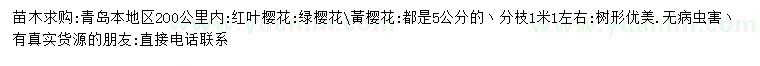 求購(gòu)5公分櫻花