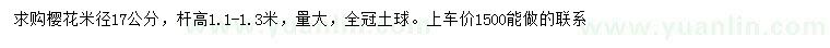 求購米徑17公分櫻花
