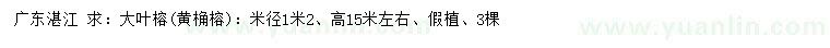 求購米徑1.2米大葉榕（黃桷榕）