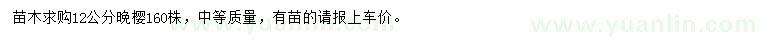 求購12公分晚櫻