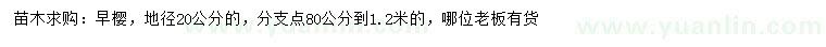 求購地徑20公分早櫻