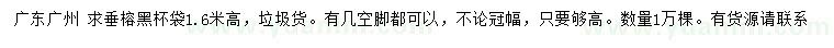 求購高1.6米垂榕