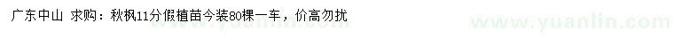 求購11公分秋楓假植苗