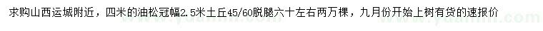 求購4米油松