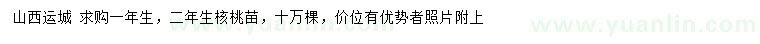 求購一、二年生核桃苗