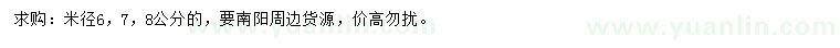 求購米徑6、7、8公分精品玉蘭