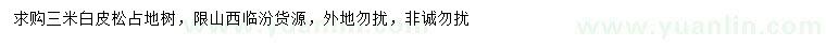 求購3米白皮松