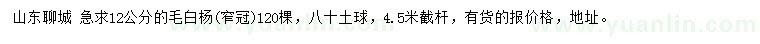 求購12公分毛白楊（窄冠）