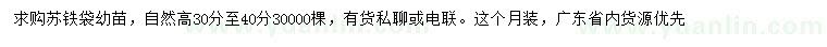 求購高30-40公分蘇鐵小苗