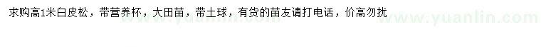 求購高1米白皮松