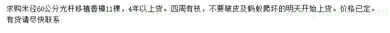 求購米徑60公分光桿移植香樟
