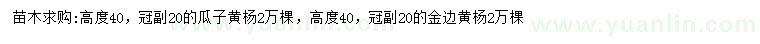 求購高度40公分瓜子黃楊、金邊黃楊