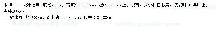 求購胸徑7-8公分尖葉杜英、地徑35公分銀海棗