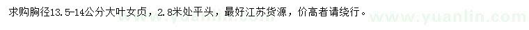 求購胸徑13.5-14公分大葉女貞