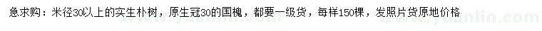 求購米徑30公分以上實(shí)生樸樹