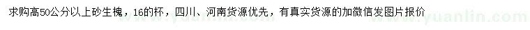 求購(gòu)高50公分以上砂生槐