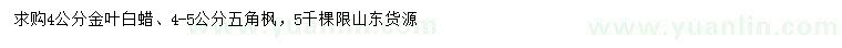 求購4公分金葉白蠟、4-5公分五角楓