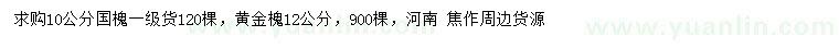 求購(gòu)10公分國(guó)槐、12公分黃金槐