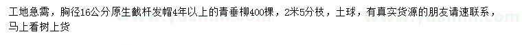 求購胸徑16公分青垂柳