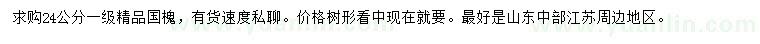 求購24公分精品國槐
