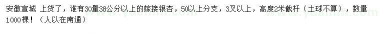 求購30量38公分以上嫁接銀杏