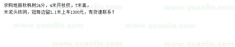 求購(gòu)24公分秋楓地苗