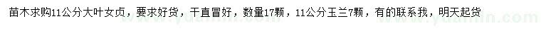 求購11公分大葉女貞