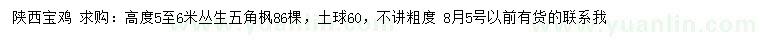求購高度5-6米叢生五角楓