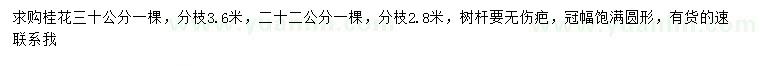 求購22、30公分桂花
