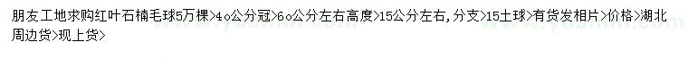 求購15公分左右紅葉石楠毛球