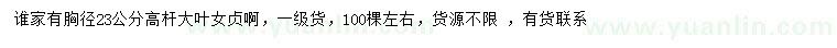 求購胸徑23公分高桿大葉女貞