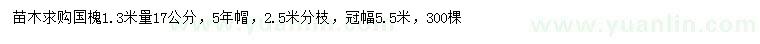 求購1.3米量17公分國(guó)槐